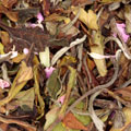Stilte (w/bio)