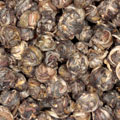 Jasmin Dragon Pearls (g/bio)