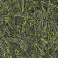 Gyokuro Kagoshima (g/bio)
