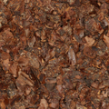 Cacaodoppen gebroken (k/bio)
