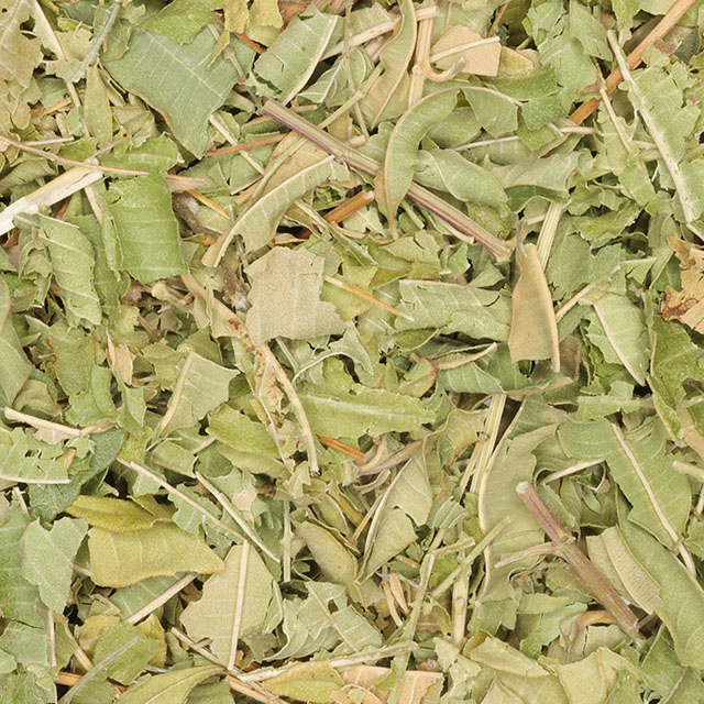 Citroenverbena / verveïne (k/bio)