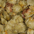 Hop - ongesneden (k/bio)