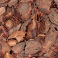 Cacaodoppen (k/bio)