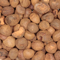 Guarana (k/bio)