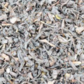 Smokey Grey (z/bio)