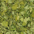 Moringa (k/bio)